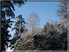 foto Parco Sebellin in Inverno